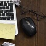 Maximizing Strategy Sometimes Baffles SSA Clerks