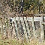 The 'Ex' Factor and Social Security