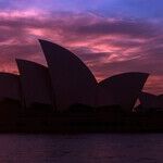 Social Security in Australia