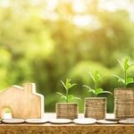 Spousal Benefits: What You Can and Cannot Do