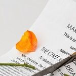 Social Security for Divorced Women
