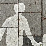 Foreign-Born Parents Not Mooching Off the Social Security System