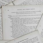 One Big Ugly Press Release