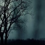Credit and Debt: Thirteen Scary Ways to Waste Money