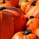 This Halloween, Don't Let These Money Mistakes Creep Up On You!