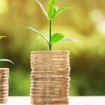 Own Your Own Business?