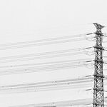 CSAL, WIN and Telecoms