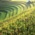 Investing in China