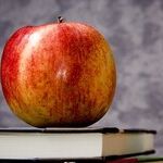 Hire an Adviser