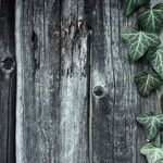Lynda Hirsch on Television -- Summaries