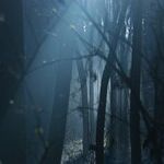 LYNDA HIRSCH ON TELEVISION -- SUMMARIES