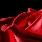 LYNDA HIRSCH ON TELEVISION -- SUMMARIES