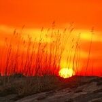 LYNDA HIRSCH ON TELEVISION -- SUMMARIES