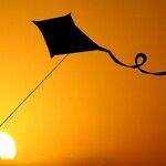 LYNDA HIRSCH ON TELEVISION -- SUMMARIES