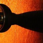 LYNDA HIRSCH ON TELEVISION -- SUMMARIES