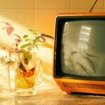 LYNDA HIRSCH ON TELEVISION -- GOSSIP
