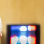 LYNDA HIRSCH ON TELEVISION -- SUMMARIES