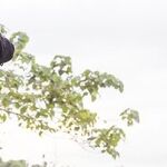 On Safari: Spring Fashion Adventures