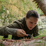 'Annihilation': Natalie Portman in a Brilliant and Semi-Baffling Fantasy