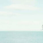 'Sea Fever': Charting a Course Through the Ocean of Pandemic Movie Possibilities