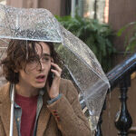 'A Rainy Day in New York': Why Is Woody Allen Still at It?