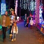 Holiday Dazzle: Resorts Delight With Christmas Lights and Entertainment