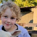 Farms and Ranches Offer an Alternative to City Travel