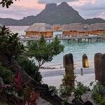 The Bali Hai Boys and Tahiti's Overwater Bungalows
