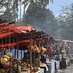 A Tropical Retreat to Zanzibar