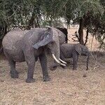 Discover the Cradle of Civilization in Tanzania