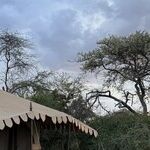 A Magical Safari Reveals Tanzania