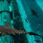 Take the Plunge: Great Water Parks With More Adventures