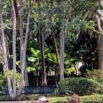 Mother Nature and Money Meet in Palm Beach