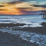 California Wine Country's Quirky Coast