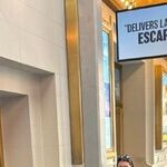 Showtime All the Time: The Thrill of New York City's Theater District