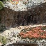 Sardinia Beyond the Beaches: From Nuraghi to Necropolises