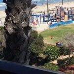 San Diego's Hidden Gem: La Jolla Shores