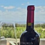 Relax at El Cielo Resort and Winery in Mexico's Valle de Guadalupe