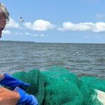 Wildlife Adventures for Families in North Carolina's Outer Banks