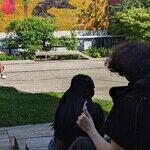 The Arts and High Line Park Are the Pride of Chelsea in New York City
