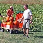 Autumn Activities Make for Family Fun