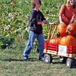 Autumn Activities Make for Family Fun
