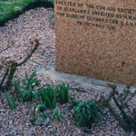 Greyfriars Bobby: Edinburgh's Famous Dog