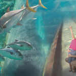 Atlantis Paradise Island Makes Both Fun and Marine History