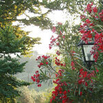City Life and Country Agritourism in Italy