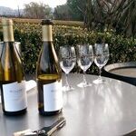 The Hidden Wineries of Oxnard, California