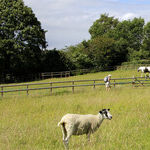 Find Fun and Quiet in the Bucolic British Isles