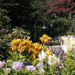 British Columbia Offers Secrets, Surprises