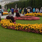 People and Places Star on a Danube Cruise