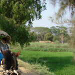 Cruise From Marvelous Mandalay to Beautiful Bagan